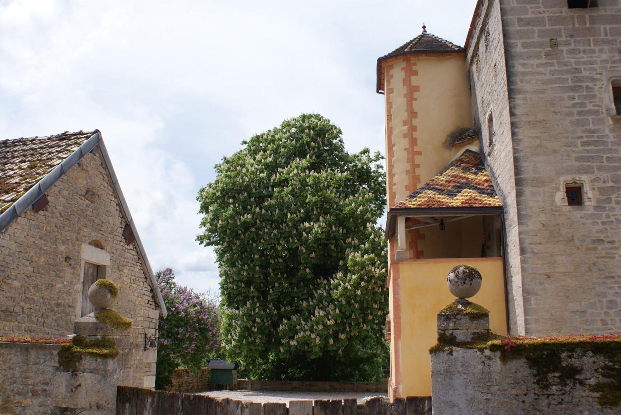 Château de Champrenault Exterior foto
